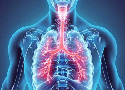 6 راهکار ساده برای تقویت ریه ها و دستگاه تنفسی