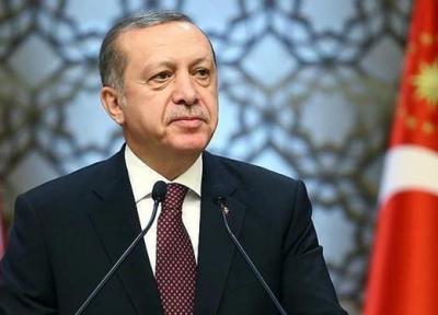 اردوغان: تحریم کنندگان ترکیه پشیمان خواهند شد